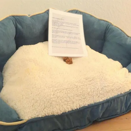 Altes Kapitaenshaus Dom wakacyjny Arnis